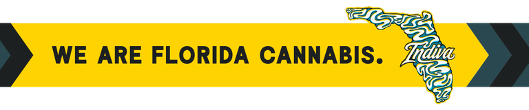 Placeholder artwork for the lower mobile banner