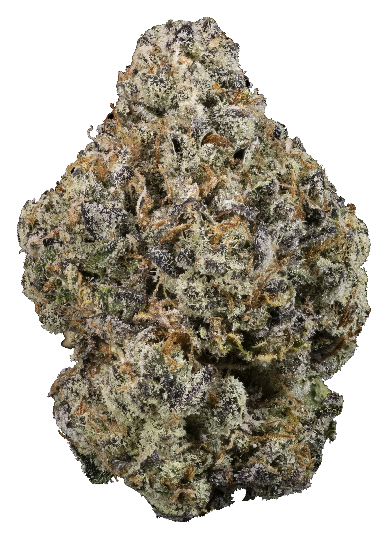 Bud Img